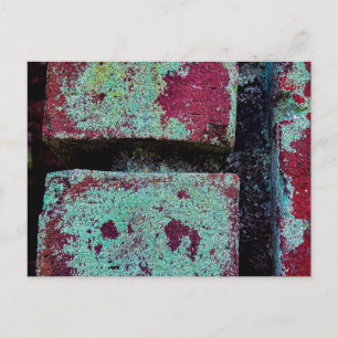 Carte Postale Lichen coloré sur brique altérée