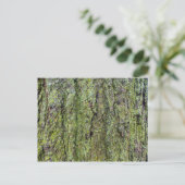 Carte Postale Lichen vert sur l'écorce d'arbre (Debout devant)