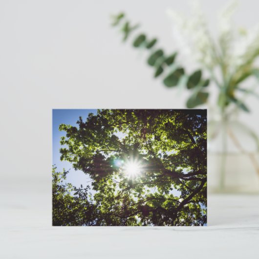 Carte Postale Lichtblick (Debout devant)