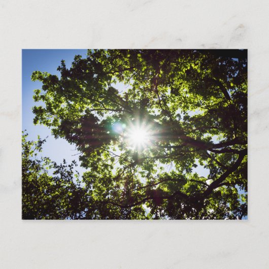 Carte Postale Lichtblick (Devant)