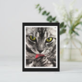 Carte Postale Lick (Debout devant)