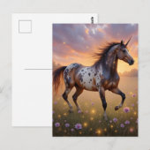 Carte Postale licorne Appaloosa  (Devant / Derrière)
