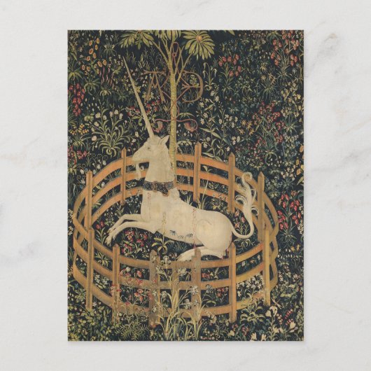 Carte Postale Licorne en captivité (Devant)