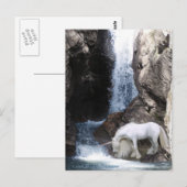 Carte Postale Licorne et cascade (Devant / Derrière)