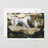 Carte Postale Licornes (Devant / Derrière)
