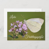 Carte Postale Liebe Frühlingsgrüße (Devant / Derrière)