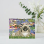 Carte Postale Lien 2 - Pekingese 1b (Debout devant)