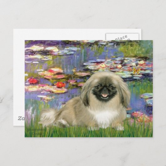 Carte Postale Lien 2 - Pekingese 1b (Devant / Derrière)