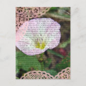 Carte Postale Lien de champ rose et blanc (Devant)