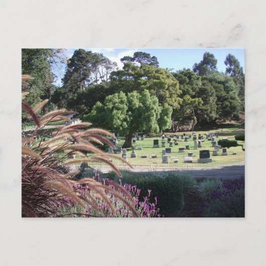 Carte Postale Lieux de repos (Devant)