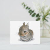 Carte Postale Lièvre 61 lapin (Debout devant)