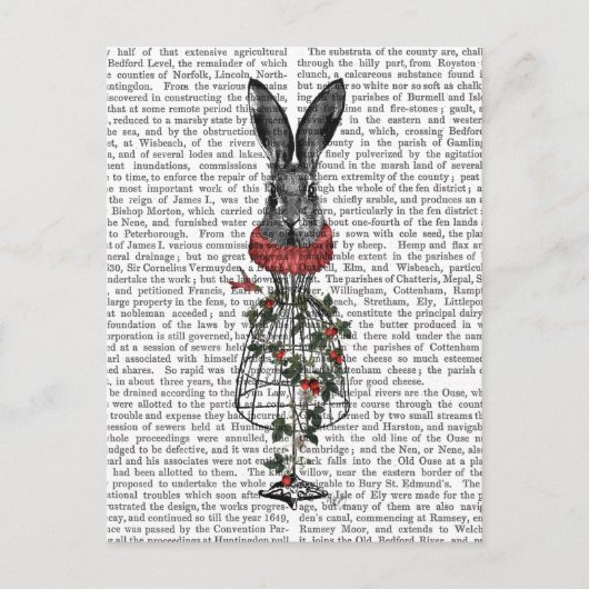 Carte Postale Lièvre de fraise (Devant)