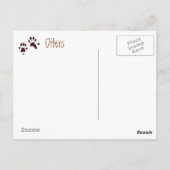 Carte Postale Lièvre de la rivière mûre, animal et traces, natur (Dos)