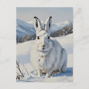 Carte Postale Lièvre de montagne en Écosse Voyage