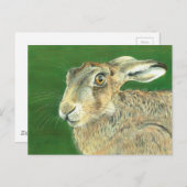 Carte Postale Lièvre de printemps (Devant / Derrière)