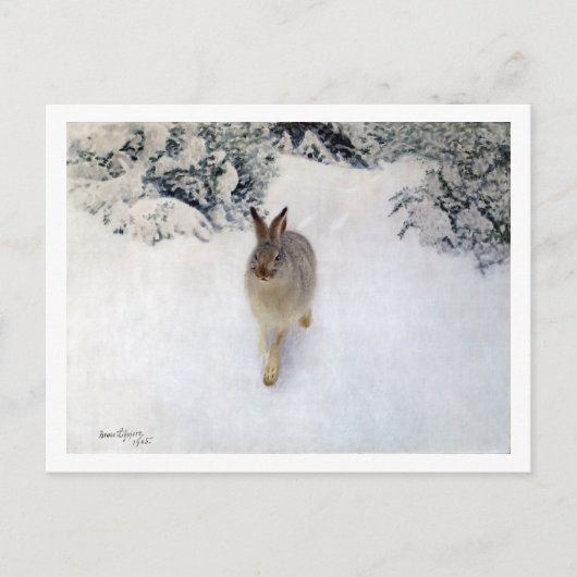 Carte Postale Lièvre d'hiver (lapin), Bruno Liljefors (Devant)