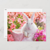 Carte Postale Lièvre du printemps (Devant / Derrière)