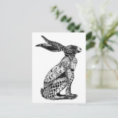 Carte Postale Lièvres se reposants (Debout devant)