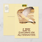 Carte Postale LIFE—Volant Dove (Devant / Derrière)
