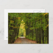 Carte Postale Light At The End of A Tunnel of Trees (Devant / Derrière)