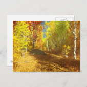 Carte postale Light en panne (Devant / Derrière)