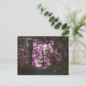 Carte Postale Light On Path Nature (Debout devant)