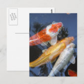 Carte Postale lightner&apos ; s 042 (Devant / Derrière)