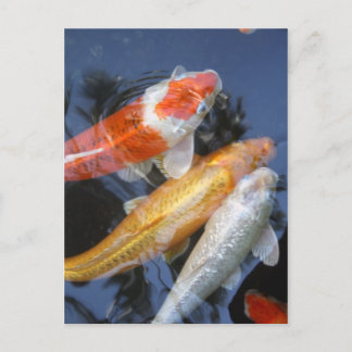 Carte Postale lightner&apos ; s 042