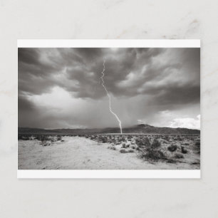 Carte Postale Lightning Joshua Tree B&W
