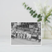 Carte Postale Ligne à rouleaux (Debout devant)