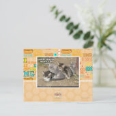 Carte Postale Ligne Caturday Conga (Debout devant)