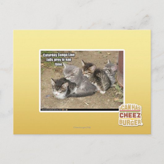 Carte Postale Ligne Caturday Conga (Devant)