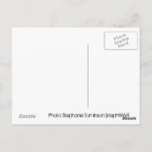 Carte Postale Ligne de décès - ESP (Dos)