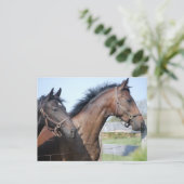 Carte Postale Ligne de fin de course de cheval (Debout devant)