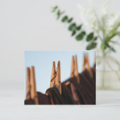 Carte Postale Ligne de lavage (Debout devant)