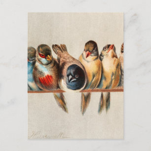 Carte Postale Ligne d'oiseaux et de colombes