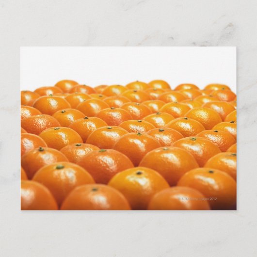 Carte Postale Ligne d'oranges (Devant)