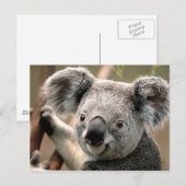 Carte Postale Ligne Koala (Devant / Derrière)