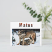 Carte Postale Ligne Wolf Mates (Debout devant)