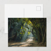 Carte Postale Lignes de Bambou (Devant / Derrière)