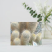 Carte Postale Lignes de couleur Cactus (Debout devant)