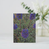 Carte Postale Lignes de Lavender (Debout devant)