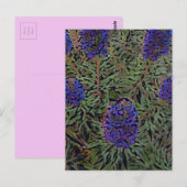 Carte Postale Lignes de Lavender (Devant / Derrière)