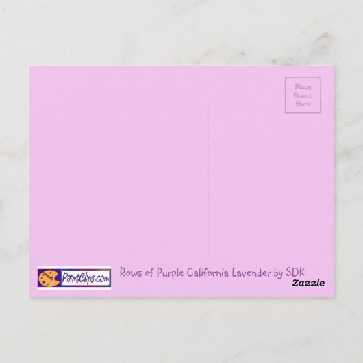 Carte Postale Lignes de Lavender (Dos)