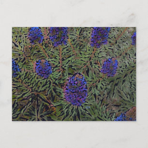 Carte Postale Lignes de Lavender