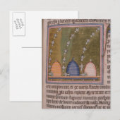 Carte Postale Lignes incurvées du bestiaire trois (Devant / Derrière)