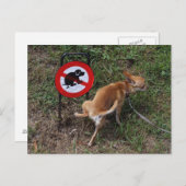 Carte Postale L'ignorance est néfaste (Devant / Derrière)