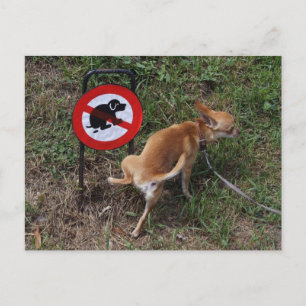 Carte Postale L'ignorance est néfaste