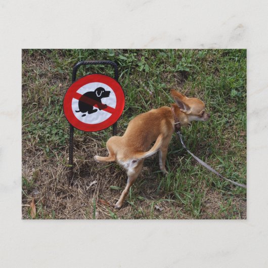 Carte Postale L'ignorance est néfaste (Devant)