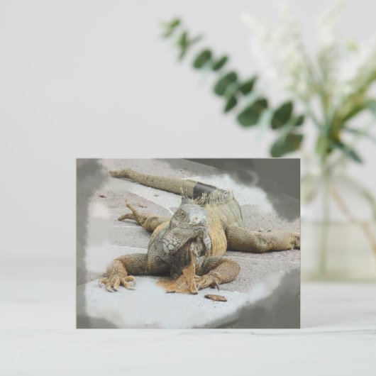 Carte Postale L'Iguana en Equateur (Debout devant)